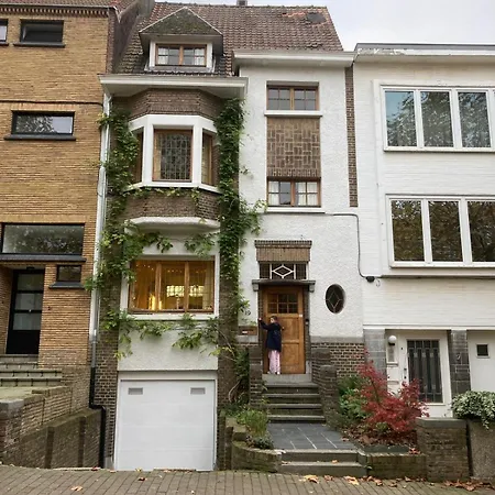 Calm, & Birdsong Brussels