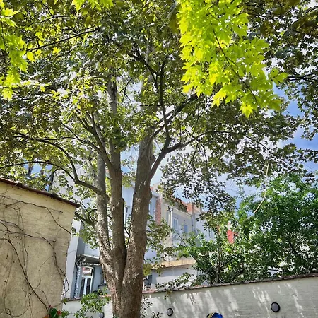 Sejour Atypique En Famille Apartment Brussels
