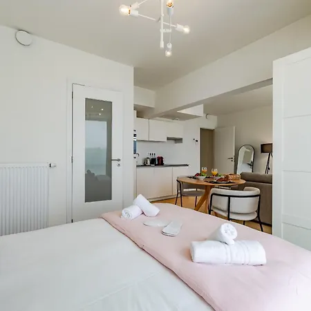 Large In A Serviced Building Apartment Brussels