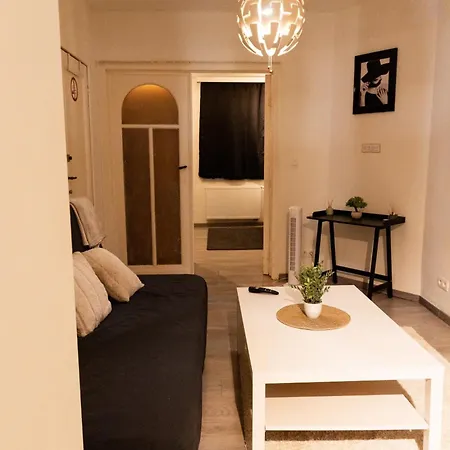 Sous Toit Lumineux Avec Garage Et 4 Pieces En Enfilade Appartement