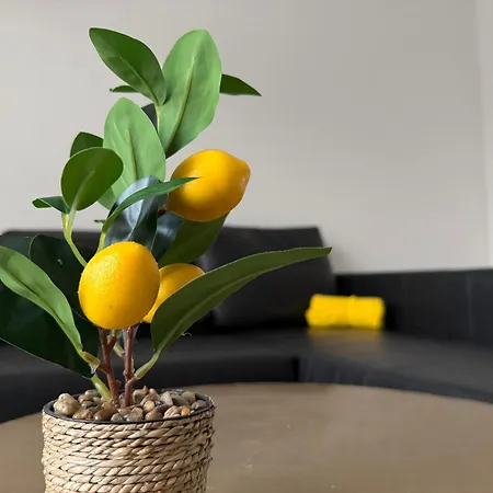 Oasis Apartment