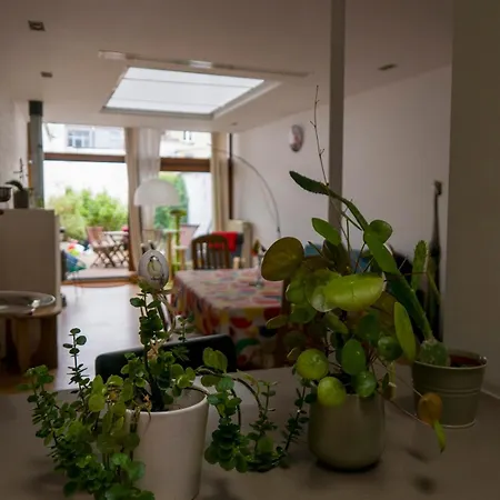 Eya House, Cozy, Bright & Well Located Brussels