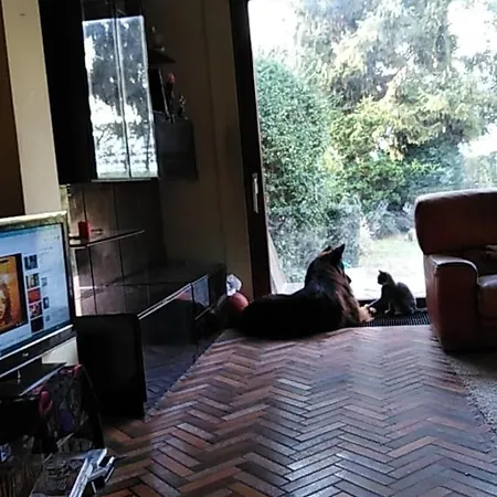 Mouzon'S House Homestay *