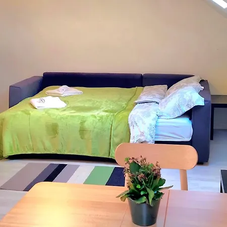 Comfortable Mini Loft In The Heart Of Apartment Brussels