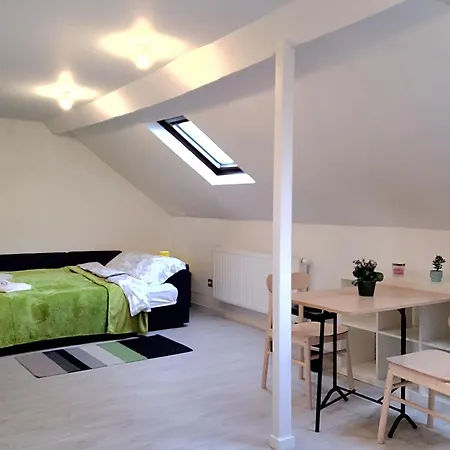 Comfortable Mini Loft In The Heart Of Brussels