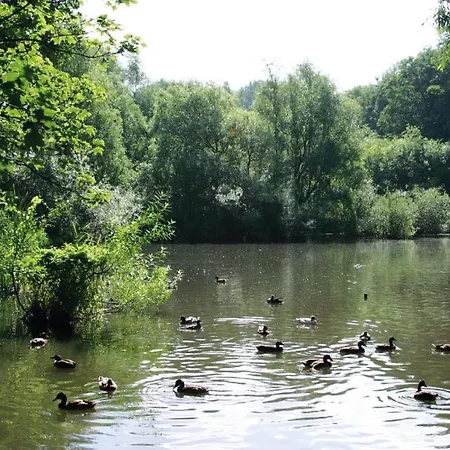 Gezellig Nestje In Lichtrijk Met Wilde Tuin * Brussels