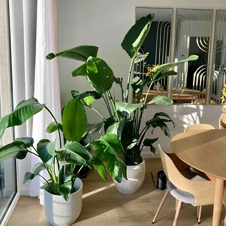 Stylish Flat,90m2, In A Great Location Apartment