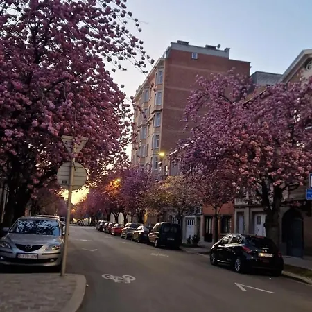 Diamant - Chic & Lumineux * Brussels