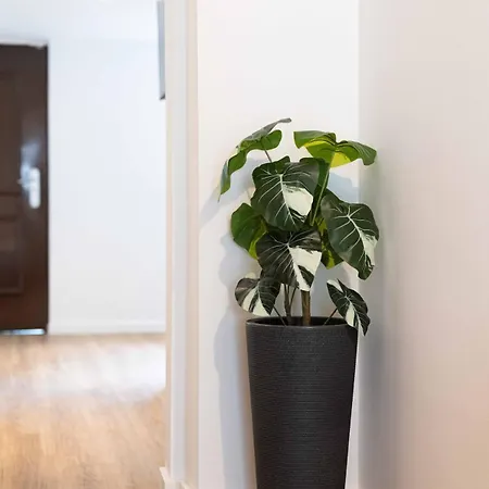 In Appartement *
