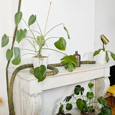 Druum Bed & Breakfast Brussels