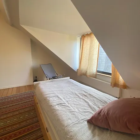 Homestay Confort Lit Simple, Salle De Bain Prive Proche Du Metro Veeweyde,