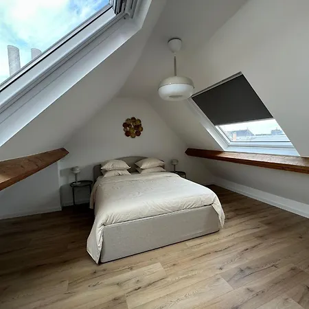 3- Duplex Lumineux Au Coeur D'ixelles Brussels