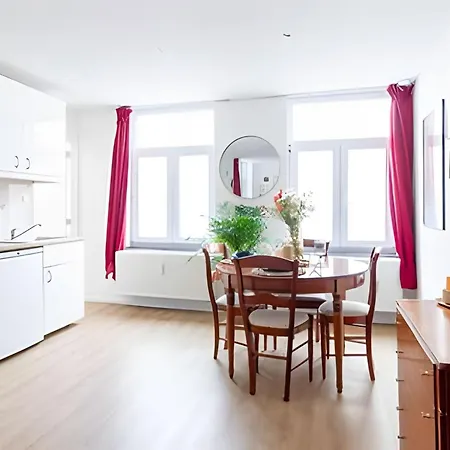Lumineux, Ideal Pour Sejour Pro Apartment Brussels