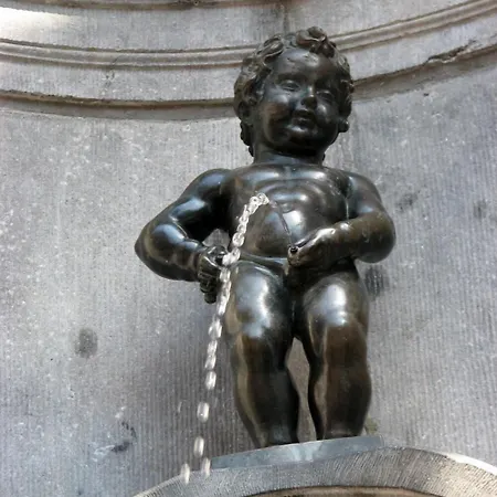 The Usual Brussels