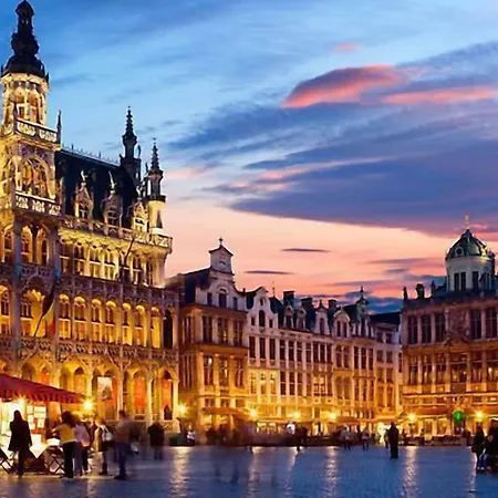 The Usual Brussels