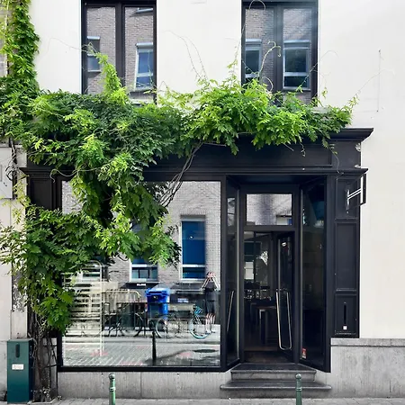 Teddy Picker Homestay Brussels