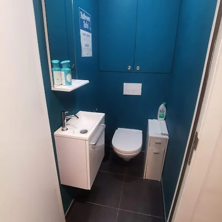 Collocation En Metro Erasme Brussel