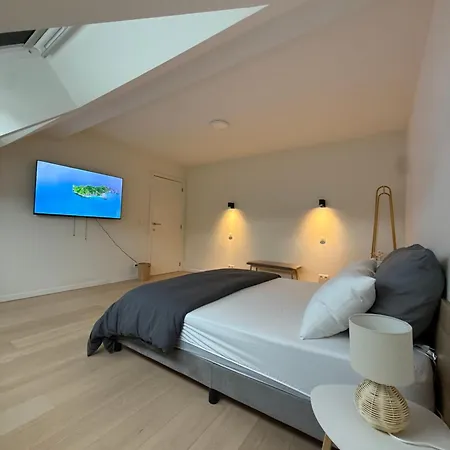 The Gallery Saint-gilles Homestay Brussels