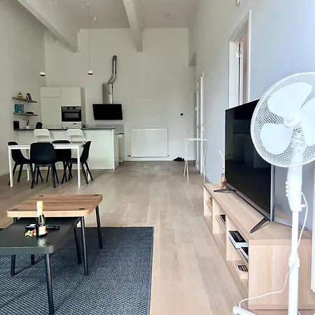 Spacious Loft Up To 4 Guests Comfort & Style In Appartement Brussel