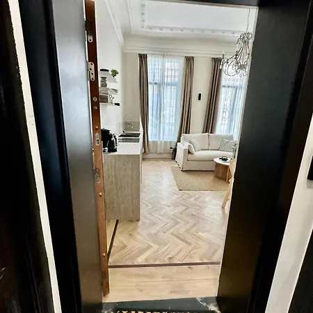 Charm And Comfort Apartment Brussels