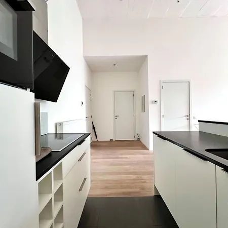 Spacious Loft Up To 4 Guests Comfort & Style In Appartement *