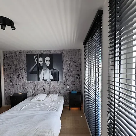 Appartement Refined With Terraces *
