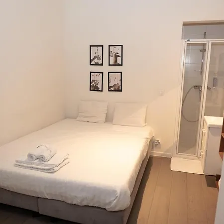 003 Avenue Louise Apartment Brussels
