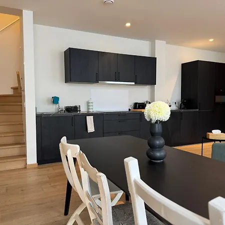 Spacious And Design Loft Apartment Brussels