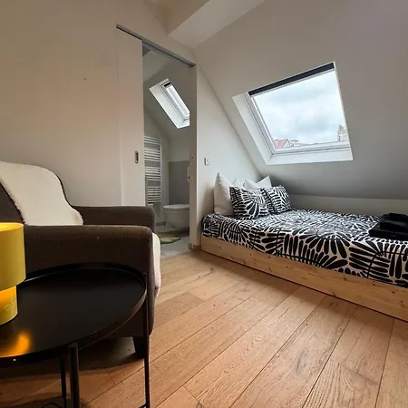 Apartment Spacious And Design Loft