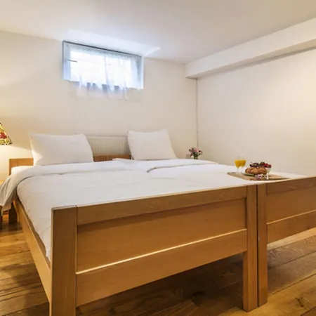 Apartment Charming Duplex In Historic Brussels *