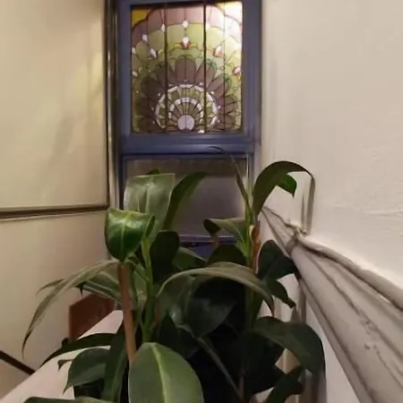European District Guest house