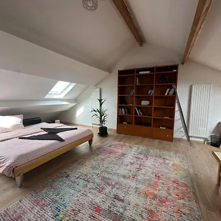 Big Cosy Family Duplex Near Grande Place Apartment