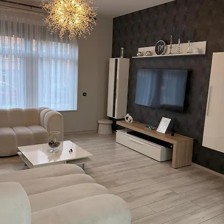 L'imperial Wifi & Confort Holiday home *