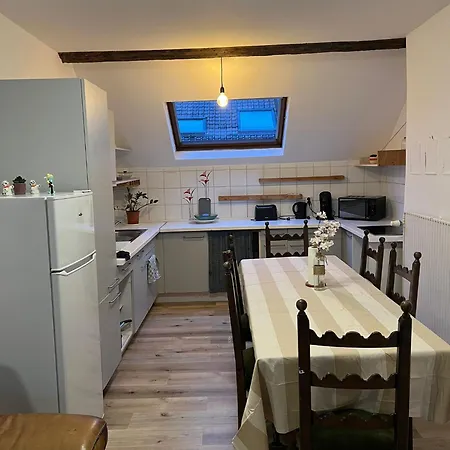 Bosquet Brussels