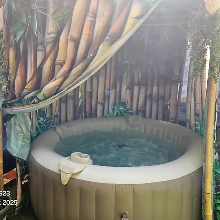 Tropical Bed & Breakfast Brussels