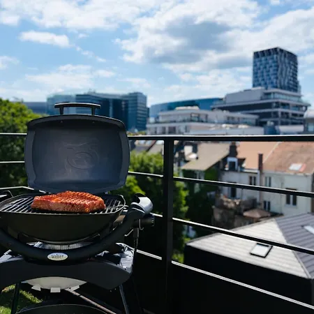 Apartment Stylish Penthouse In Bxl With 2 Panoramic Terraces Brussels