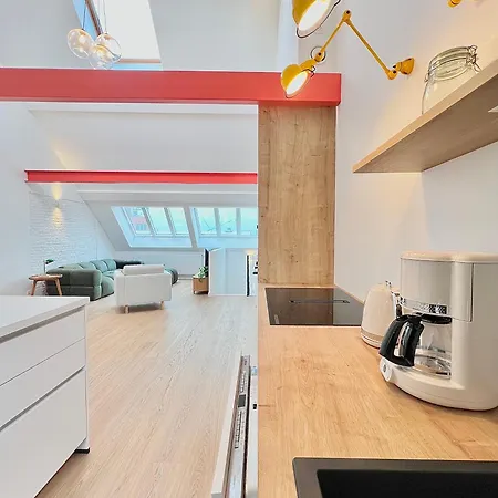 Apartment Duplex Design & Elegant Au Coeur De Brussels