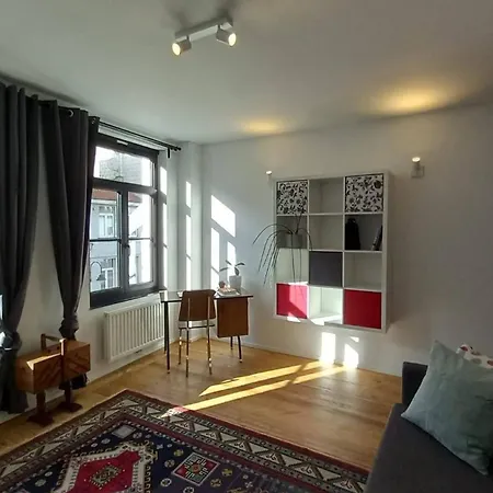 Charming At Heart Of Brussels-marolles Apartment
