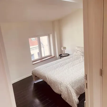 Spacious Terrace In The Heart Of Brussels