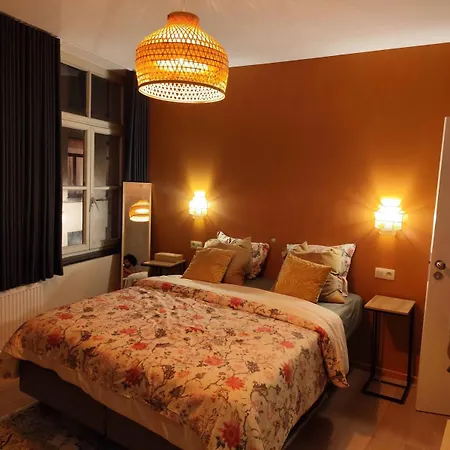 Cozy Renovated In Brussels