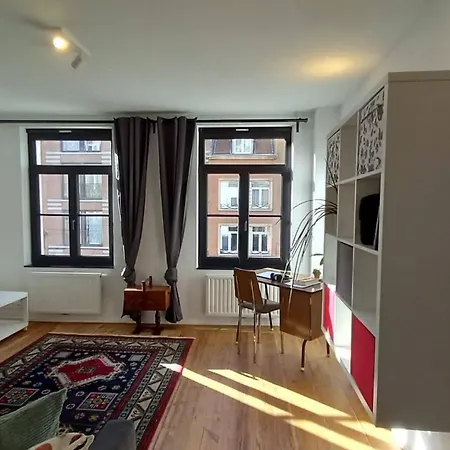 Charming At Heart Of Brussels-marolles Apartment *