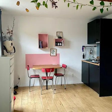 Apartment Cozy Studio-city Center
