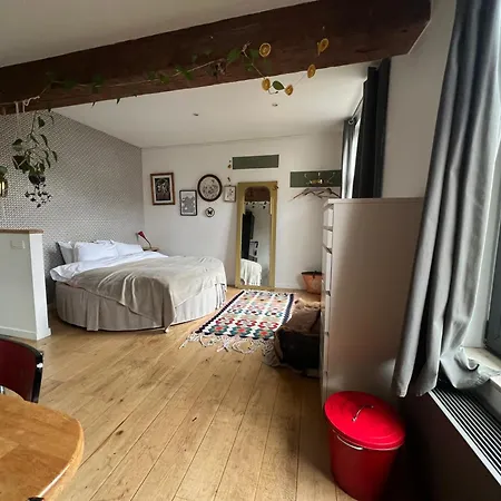 Cozy Studio-city Center Apartment