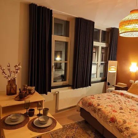Apartment Cozy Renovated In