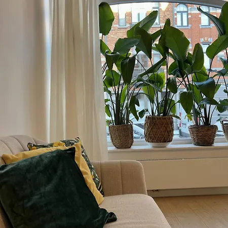 Modern & Elegant Near Montgomery * Brussels