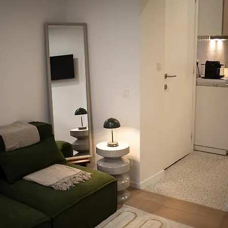 Avec Mezzanine Et Terasse Apartment Brussels