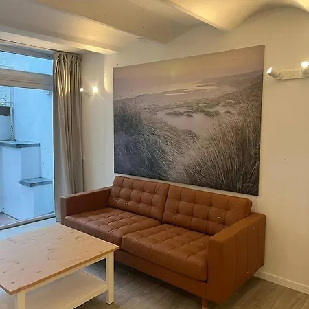 Apartment Large 3-bedroom In Brussels