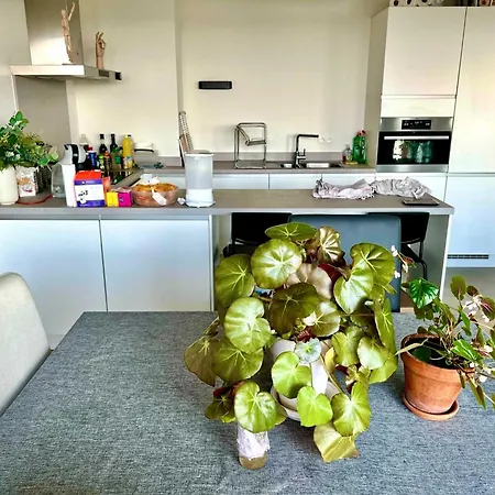 Apartment Elegant Near Atomium Ideal For Families Brussels