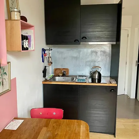 Cozy Studio-city Center Brussels