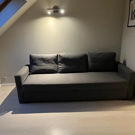Center Flat Apartment